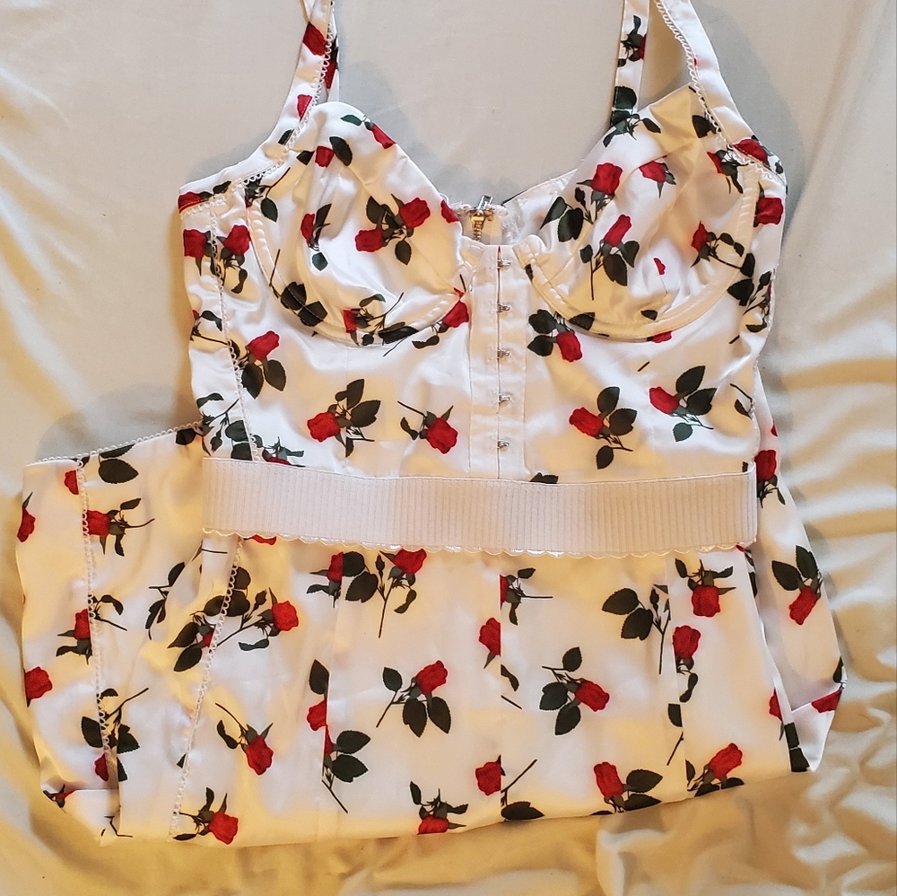 For love and lemons X Victoria's Secret bustier dress